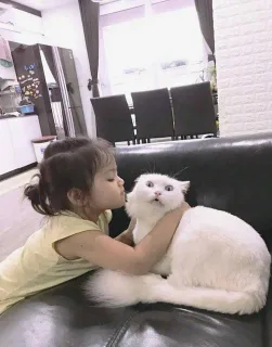 没被女孩子亲过，好紧张_猫咪