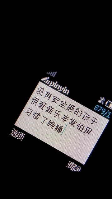 没有安全感的孩子很爱音乐非常怕黑习惯了晚睡