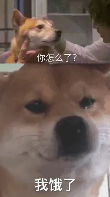 你怎么了？我饿了（你怎么了？我饿了）