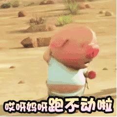 唉呀妈呀 我小猪跑不动啦