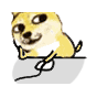 doge小黄狗玩电脑（doge小黄狗玩电脑）