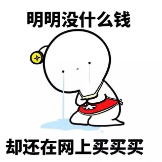 明明没什么钱 却好在网上买买买