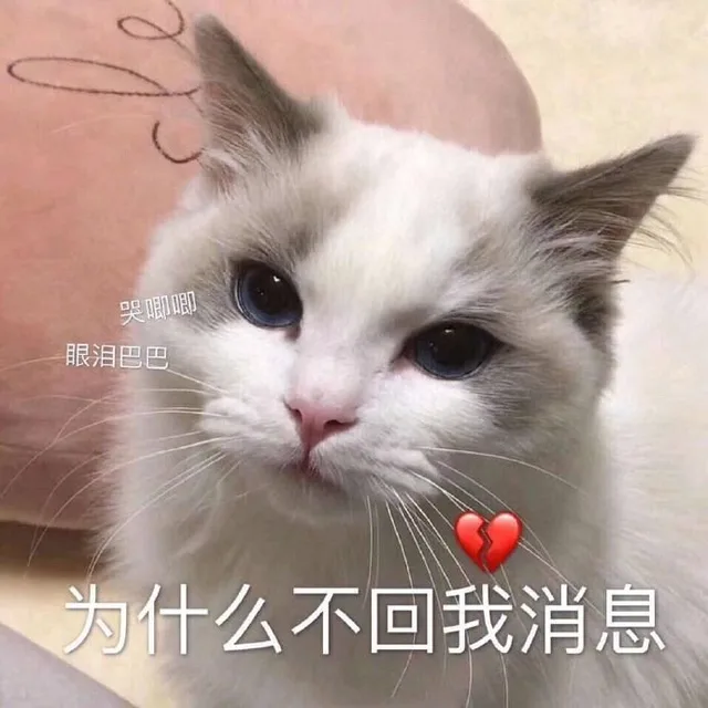哭唧唧眼泪巴巴为什么不回我消息（哭唧唧眼泪巴巴为什么不回我消息）