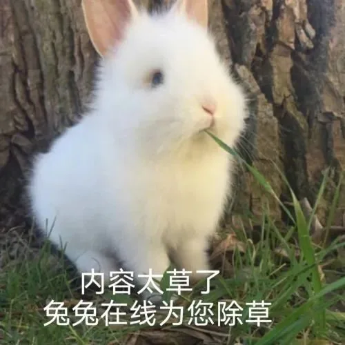 内容太草了兔兔在线为您除草（内容太草了兔兔在线为您除草）