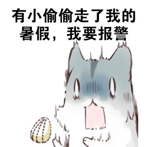 有小偷偷走了我的暑假 我要报警（有小偷偷走了我的暑假 我要报警）