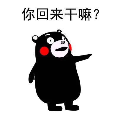 你回来干嘛？