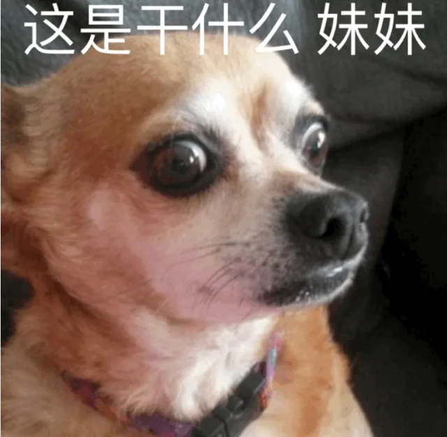 这是干什么 妹妹（这是干什么 妹妹）