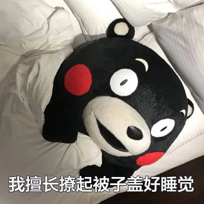我擅长撩起被子盖好睡觉