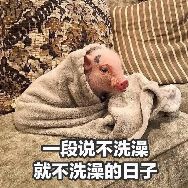 段说不洗澡就不洗澡的日子