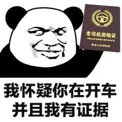 我怀疑你在开车，并且我有证据