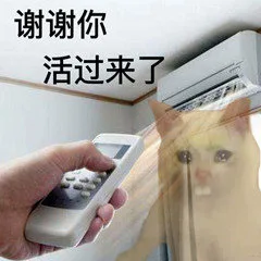 谢谢你活过来了(开空调表情包)（谢谢你活过来了(开空调表情包)）