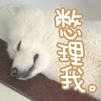 憋理我。