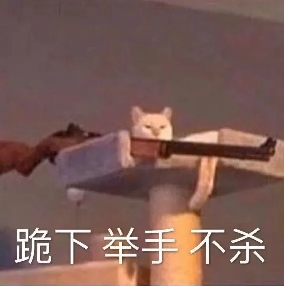 跪下举手不杀（跪下举手不杀）