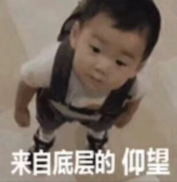 来自底层的仰望（来自底层的仰望）