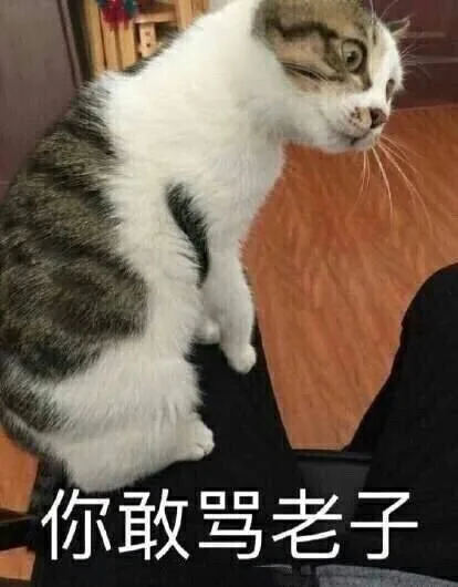 你敢骂老子