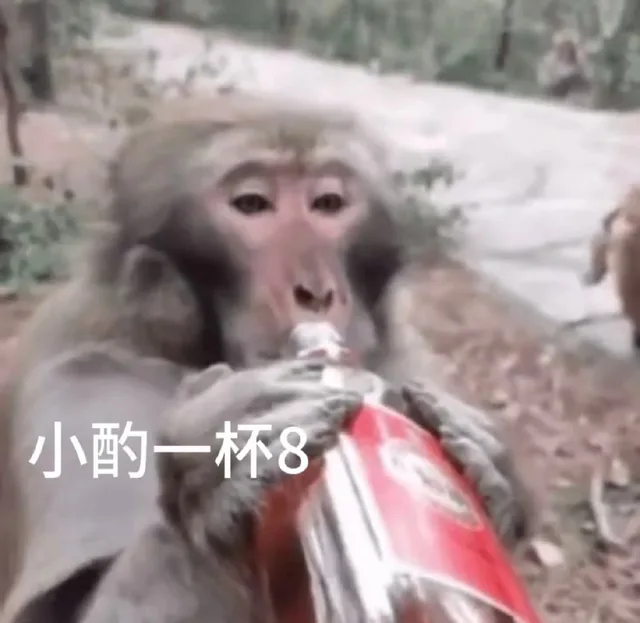 小酌一杯8（小酌一杯8）