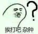 挨打吧 杂种？