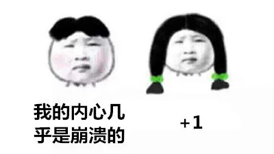 我的内心几乎是崩溃的。加一+1（我的内心几乎是崩溃的。加一+1）