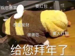 给您拜年了给您拜回去表情包