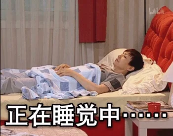 正在睡觉中（正在睡觉中）