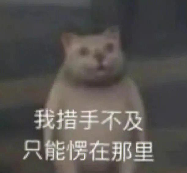 我措手不及只能愣在那里（我措手不及只能愣在那里）