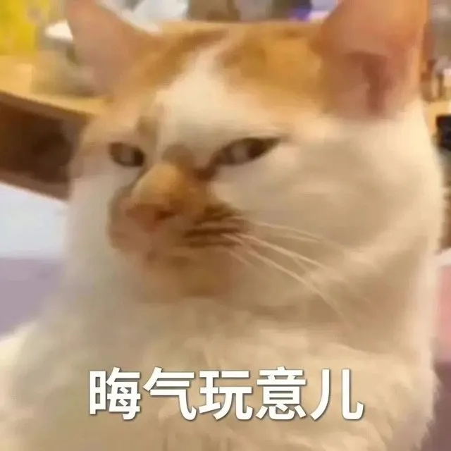 晦气玩意儿（晦气玩意儿）