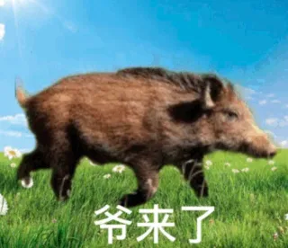 爷来了