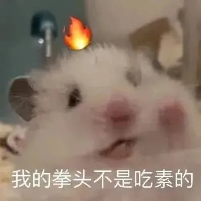 我的拳头不是吃素的(鼠鼠表情包)（我的拳头不是吃素的(鼠鼠表情包)）