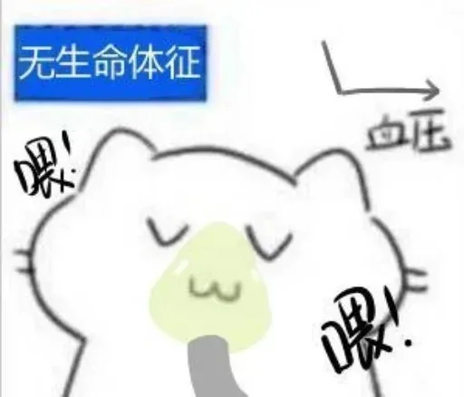 无生命体征血压