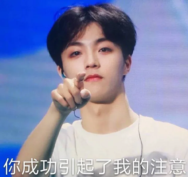 你成功引起了我的注意（你成功引起了我的注意）
