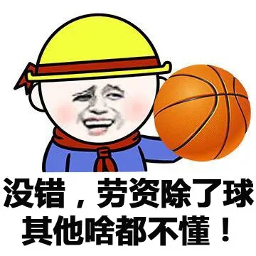 没错，劳资除了球 其他啥都不懂！