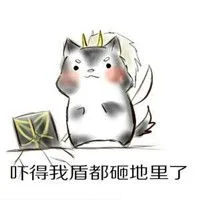 吓得我盾都砸地里了