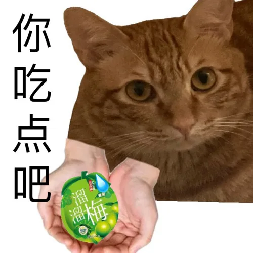 你吃点吧（你吃点吧）