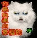 你是通向幸福的桥（你是通向幸福的桥）