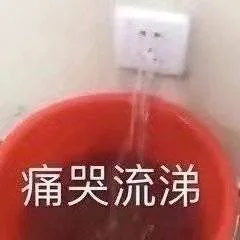 痛哭流涕（痛哭流涕）