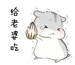给老婆吃