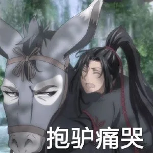 ⌒抱驴痛哭（⌒抱驴痛哭）