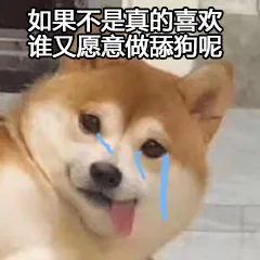 如果不是真的喜欢谁又愿意做舔狗呢（如果不是真的喜欢谁又愿意做舔狗呢）