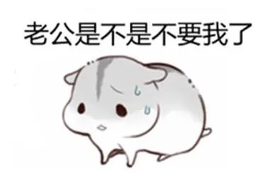 老公是不是不要我了
