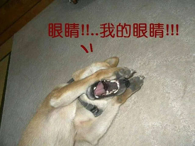 眼睛！！...我的眼睛！！！