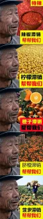 大爷：我感觉我什么生意都做不好。。。