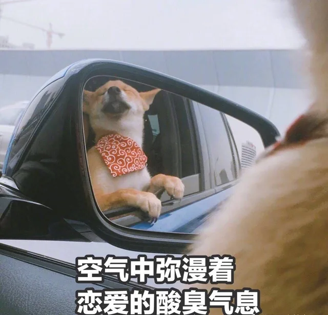 空气中弥漫着恋爱的酸臭气息（空气中弥漫着恋爱的酸臭气息）