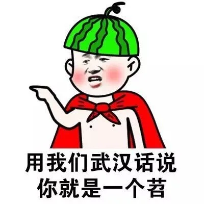 用我们武汉话说你就是一个苕