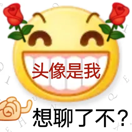 头像是我想聊了不?（头像是我想聊了不?）
