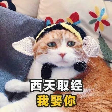 西天取经我娶你（西天取经我娶你）