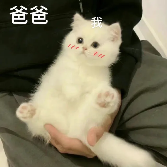 爸爸（爸爸）