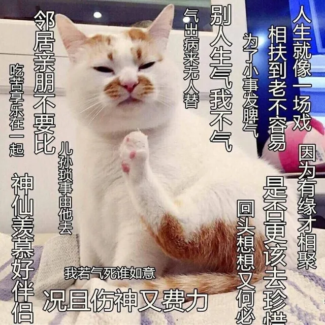 人生就像一场戏，因为有缘才相聚，相扶到老不容易，是否更该去珍惜，为了小事发脾气，回头想想又何必，别人生气我不气，气出病来无人替，我若气死谁如意，况且伤神又费力，邻居亲朋不要比，儿孙琐事由他去，吃苦享乐在一起，神仙羡慕好伴侣。（猫）