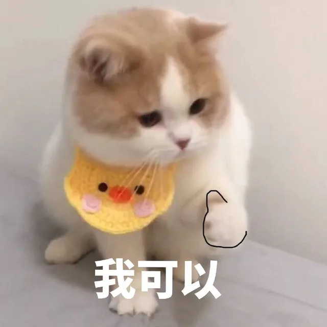 我可以（猫咪动图表情包）（我可以（猫咪动图表情包））