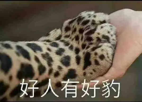 好人有好豹（好人有好豹）