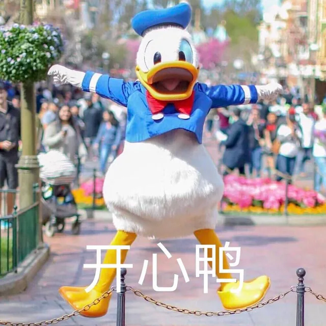 开心鸭
